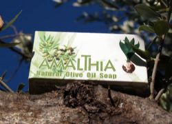 Soap against hair loss